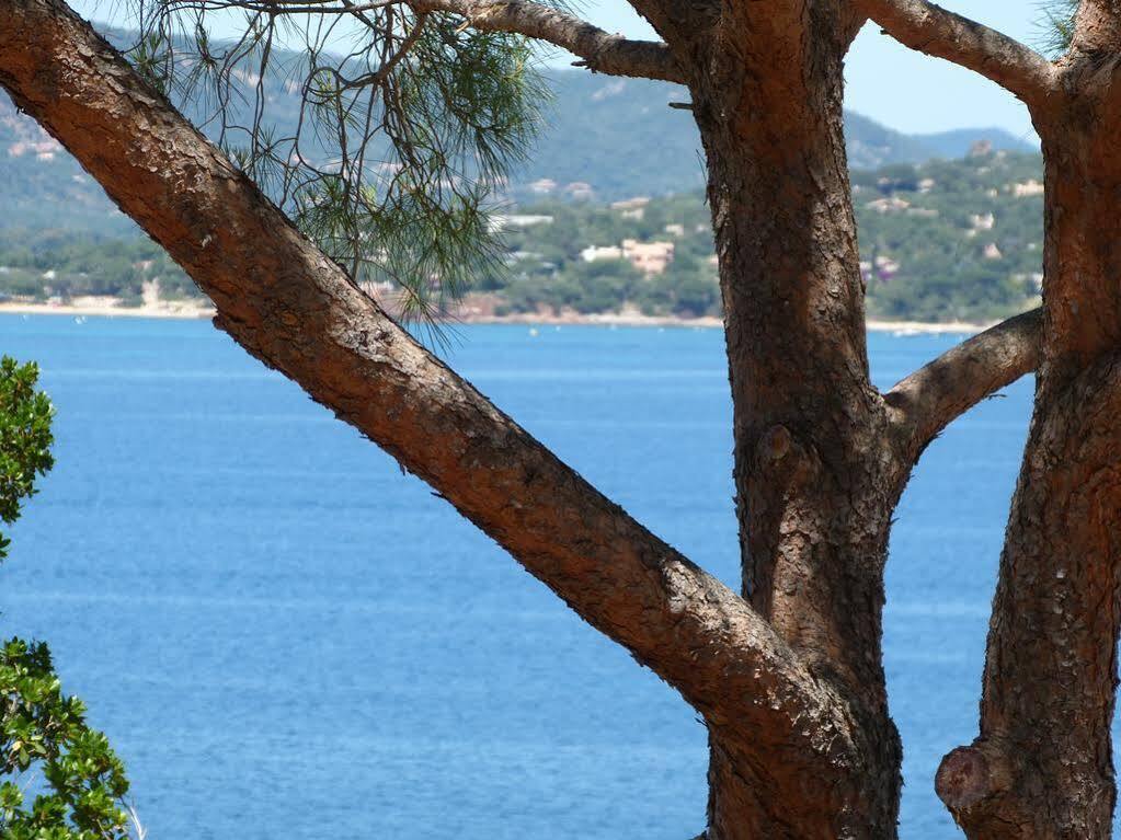 Ferienhaus U Paviddonu Porto-Vecchio (Corsica)